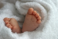New-Baby