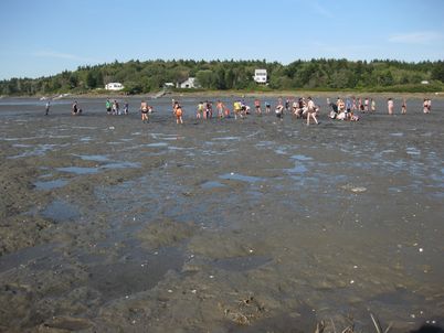 IMG_1478
