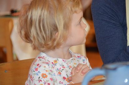 DSC_0617 DSC_0617