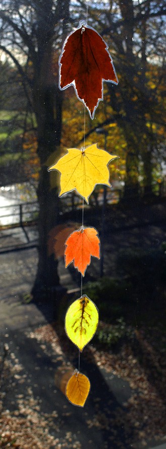 leaves leaves