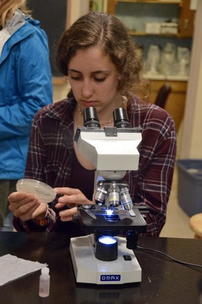 microscope microscope