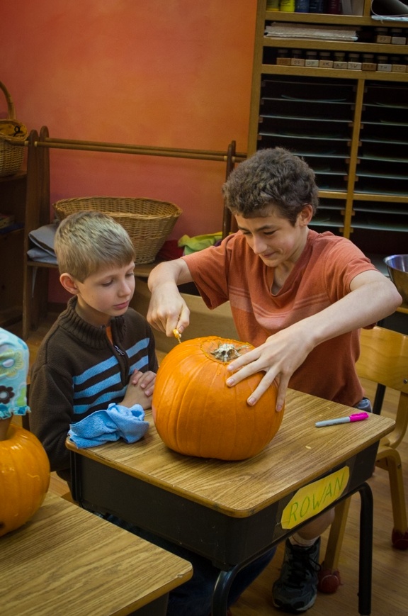 pumpkin pumpkin