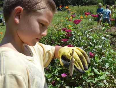 Gr 3 Gardening Cole Mantis Gr 3 Gardening Cole Mantis
